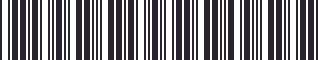 Weight of GM 10017090 Stripe