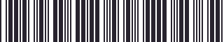 Weight of GM 10038733 Stripe