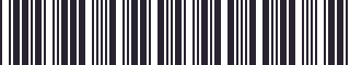 Weight of GM 13251663 Stripe, styling, rear door window frame, front, black, carbon effect, right hand