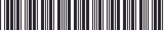 Weight of GM 15563165 Stripe