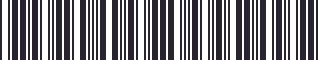 Weight of GM 15613109 Stripe