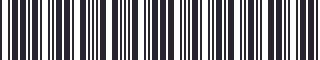 Weight of GM 15623120 Stripe