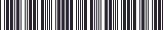 Weight of GM 15736079 Stripe