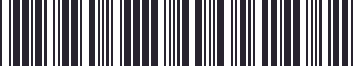 Weight of GM 15736203 Stripe