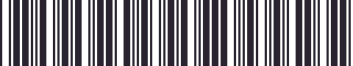 Weight of GM 22512310 Stripe