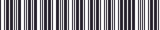 Weight of GM 22518173 Stripe