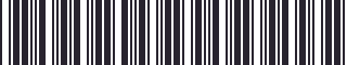 Weight of GM 22518219 Stripe