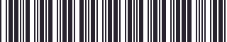 Weight of GM 22518223 Stripe