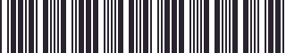 Weight of GM 52361366 Stripe