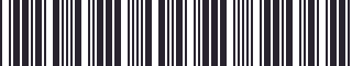 Weight of GM 52361372 Stripe