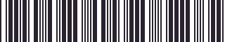 Weight of GM 52361373 Stripe